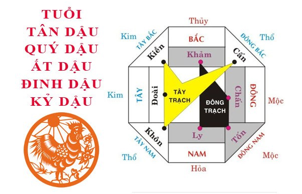 Các hướng tốt xấu dành cho tuổi Ất Dậu